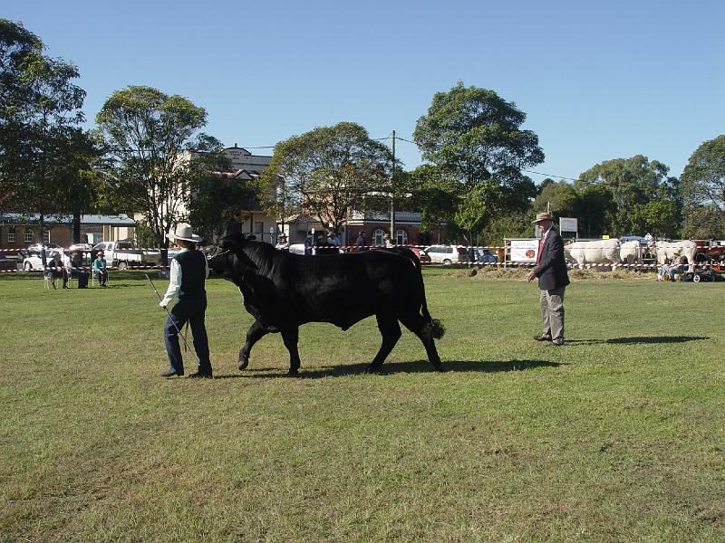 beef-week 001.jpg